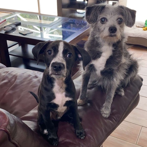 ⭐️Meet Your Posher, Wendy!!⭐️ - Picture 3 of 5